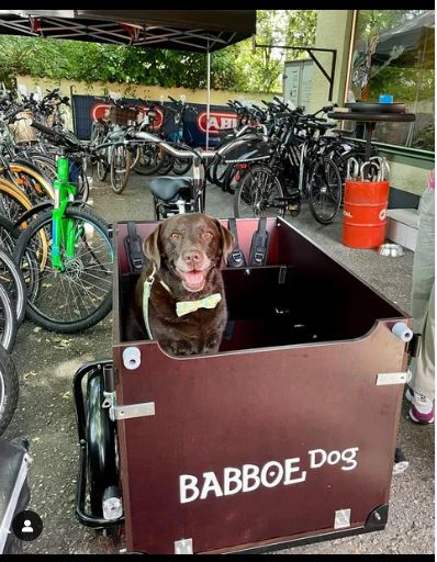 Lastenfahrrad Grallert